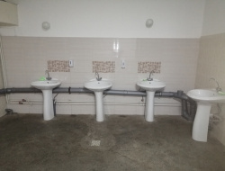 IMG_20200226_080721.jpg IMG_20200226_080721.jpg