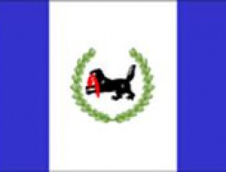 image015.jpg image015.jpg