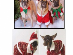 Каталог Microsoft Word_Страница_07.jpg Каталог Microsoft Word_Страница_07.jpg