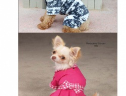 Каталог Microsoft Word_Страница_08.jpg Каталог Microsoft Word_Страница_08.jpg